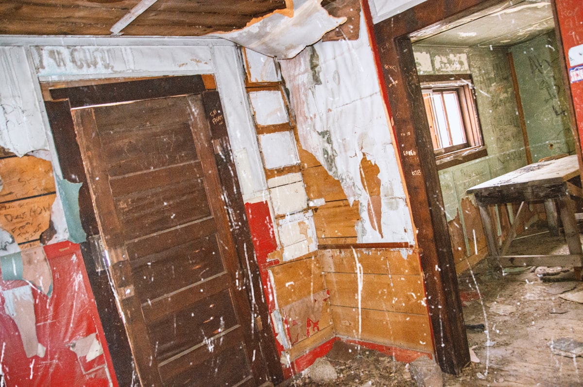 Mold Remediation service in Los Angeles, CA