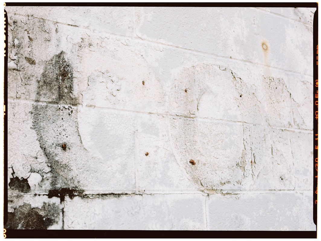 Basement Water Removal service in Los Angeles, CA