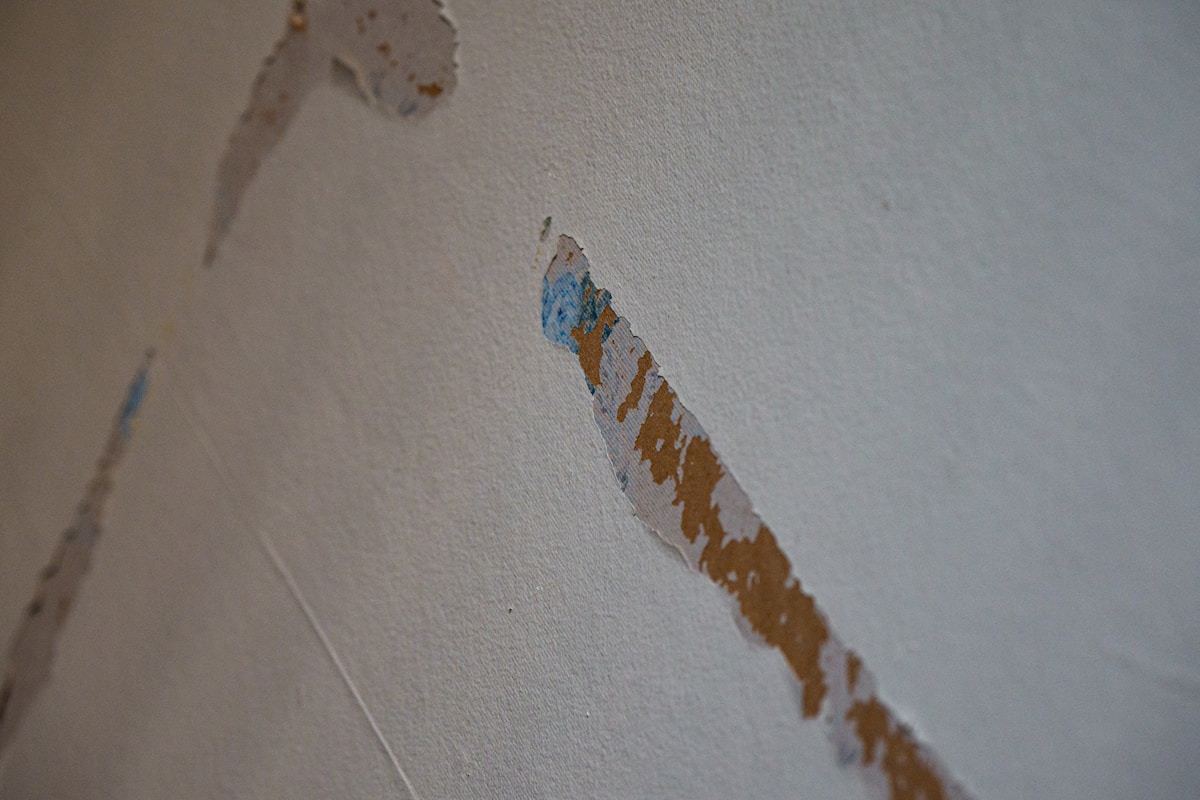 Mold Remediation service in Los Angeles, CA